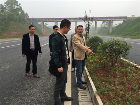 岷東大道東坡段5.8公里道路隔離帶綠化工程順利驗收(圖3) 岷東大道東坡段5.8公里道路隔離帶綠化工程順利驗收(圖3)