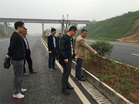 岷東大道東坡段5.8公里道路隔離帶綠化工程順利驗收(圖2) 岷東大道東坡段5.8公里道路隔離帶綠化工程順利驗收(圖2)